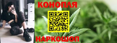 гидра Краснодар