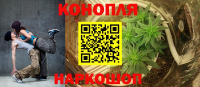 гидра Краснодар