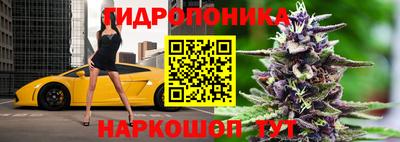 гидра Краснодар
