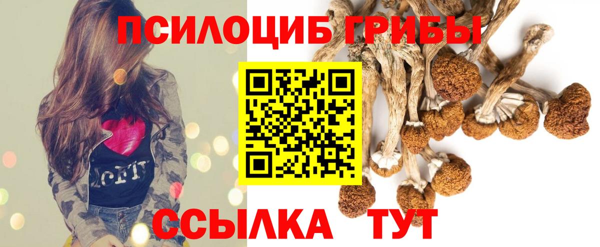 Псилоцибиновые грибы Psilocybe  Галлюциногенные грибы ЛСД  Елабуга  Вход с VPN 