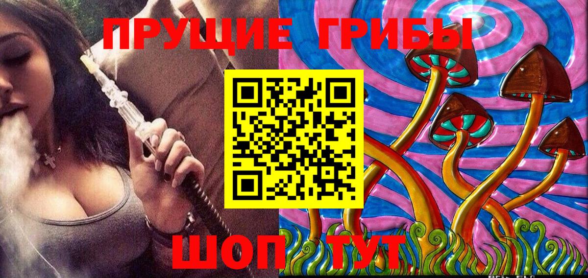 Псилоцибиновые грибы Psilocybe Елабуга